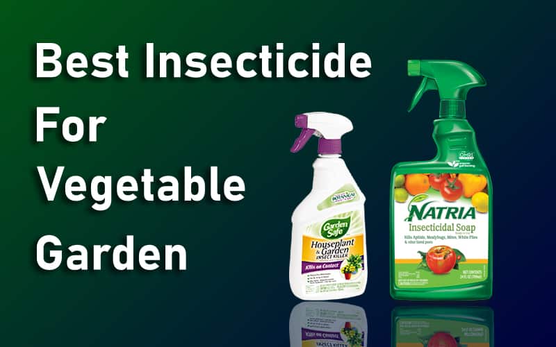 Best Insecticide For Vegetable Garden