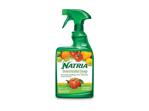 Natria 706230A Insecticidal Soap