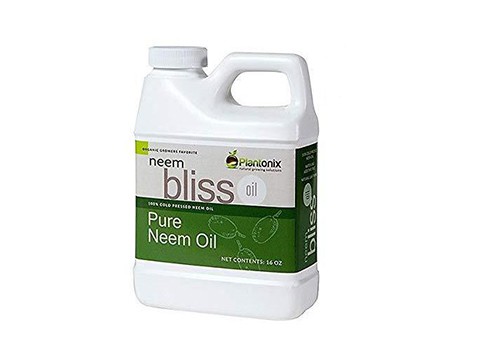 Neem Bliss Organic 100% Cold Pressed Neem Seed Oil